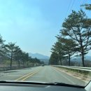 가야호텔청화산한옥풀빌라