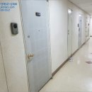 둔산북로 이미지