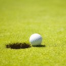 골프나라 이미지