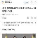 원고 윤석열-피고 한동훈' 재판에서 벌어지는 일들 이미지