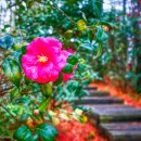 고사리마을회관 이미지