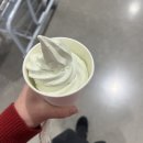 코스트코 홀세일 김해점 | 김해 코스트코 푸드코트 메뉴 가격 멜론아이스크림 츄러스 후기