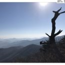 섬지골 캠핑장 이미지