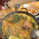 뼈다귀 천하 이미지