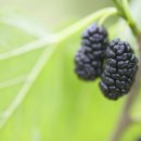 오디하우스 이미지