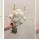 스윗코드