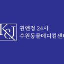 권앤정 24시수원동물메디컬센터 이미지