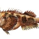 삼식이식당 이미지