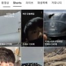 이레스티드