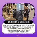 레드포스PC아레나 봉천점 이미지