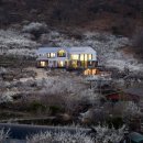 Domus(도무스) 이미지