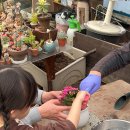 파주농장 | 6세 아이랑 가본 파주 나눔농장 솔직 후기 (체류시간·꿀팁 포함)