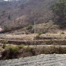 동진부동산중개사무소 이미지