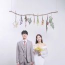 베일리제이