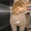 알파문구 앞 이미지