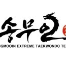 송무인 현대 태권도 이미지