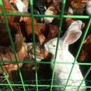 초록별민박 이미지