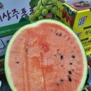 금호농산 이미지