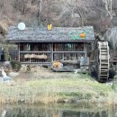 은은하게 이미지