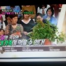 뿌리 농장 이미지