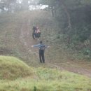 박실농장 이미지