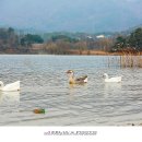 더(the)풍경 이미지