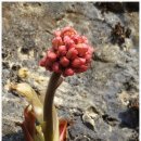 산천초목민박 이미지