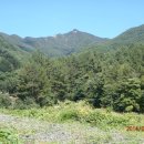 번암무룡고개로 이미지