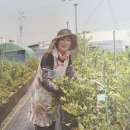 다산팜 이미지