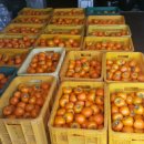 큰밭농원 이미지