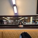 [캐나다 어학연수][D+90~97] 토론토에도 벚꽃이 피나요? / 텀블러 분실 후기