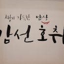 감선호취 이미지