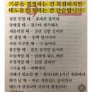 분당내곡로(광장로) | 옹기종기 정다웁게 3월 (스타필드수원, 아이와강릉여행, 서울타워, 서울대공원, 위매거진, 우아한사진관)