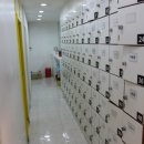 스타트핏 이미지