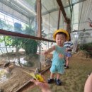 주호농장 이미지