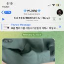 보통 텔레그램 하는 사유들 알려드림니다 (짤 좀 놀랄 수도 있음) 이미지