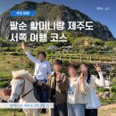 와수로216번길19 집 옆 | [4월/제주] 할머니랑 2박3일 ② - 서쪽 여행 코스 · 바다 보고 말 타고 꽃 보고