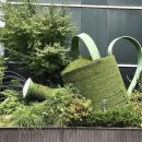 스타벅스 안양역R 이미지