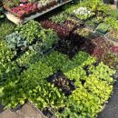 화원농장4 이미지