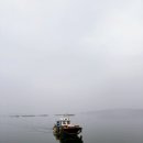 창리로 | 바다좌대낚시 안면도좌대낚시 부석 창리 명성바다좌대낚시 가족 출조 후기