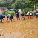 삼척남초등학교 이미지