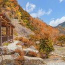 청풍펜션민박 이미지