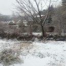 자매농장 이미지