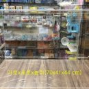 도리순이 이미지