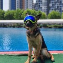 푼타하우스 이미지