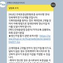 (주)소싱뷰구로지점 | hug 청년버팀목전세대출 연장 + 목적물 변경 후기 1탄 : 보증금 3억 초과, 대출쪽 진행 절차