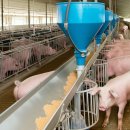 지원농장 이미지