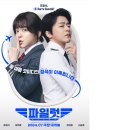 파일럿 티스토리