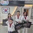 용인대 대한 태권도 이미지