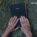 엘림의원 이미지